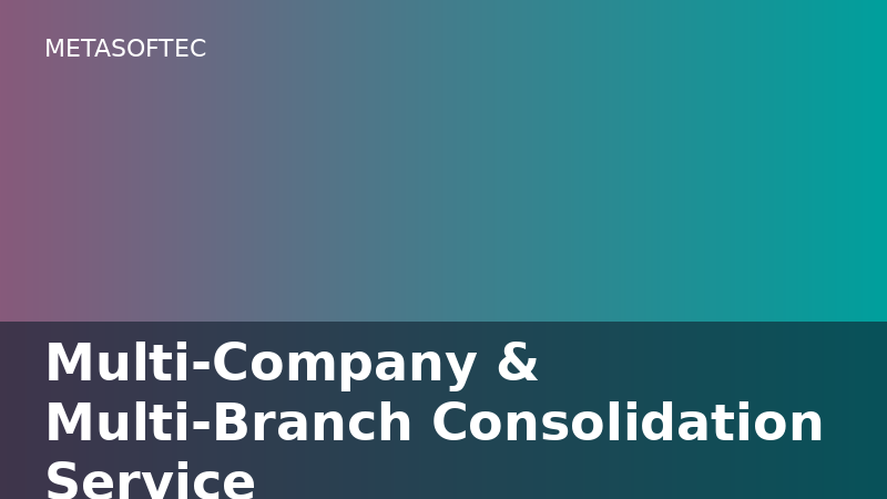 Multi-Company & Multi-Branch Consolidation Service